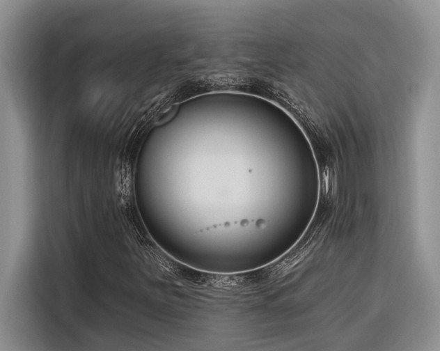 X0000116551251200912101406