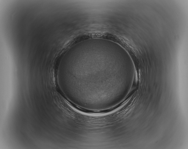 X0000116551252200912101406
