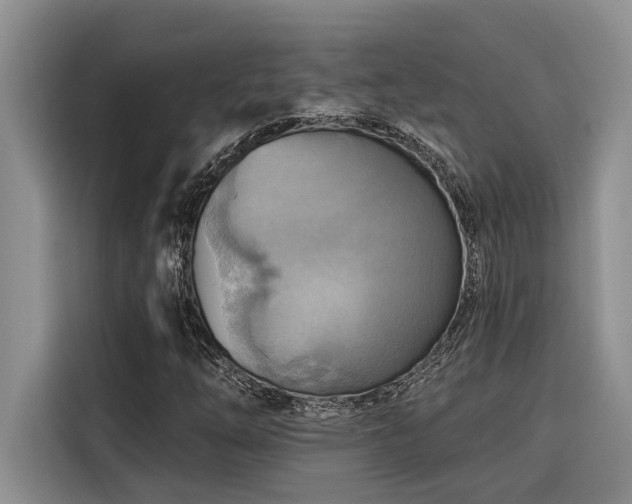 X0000116551254200912101406