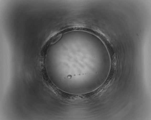 X0000116551255200912101406