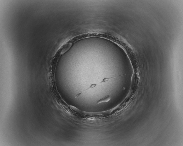 X0000116551256200912101406