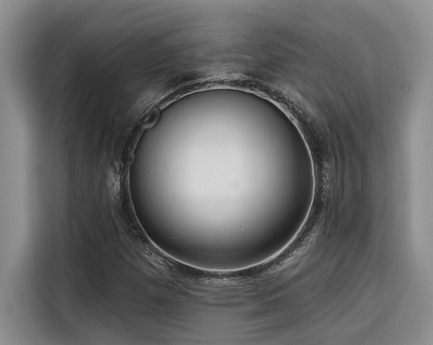 X0000116551257200912101406