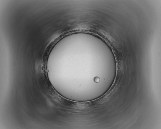 X0000116551258200912101406