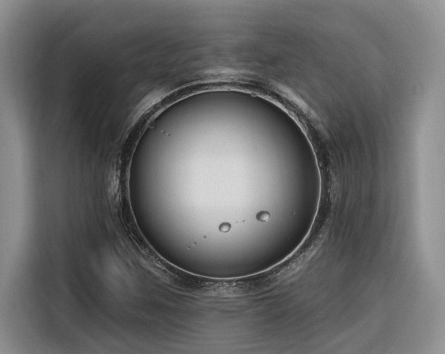 X0000116551259200912101406