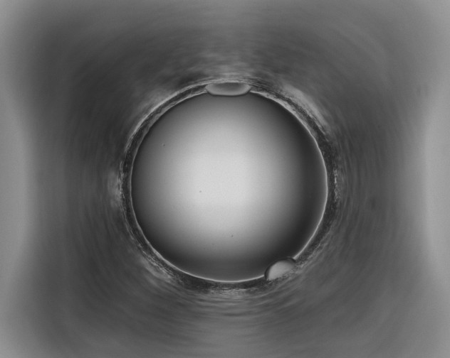 X0000116551260200912101406
