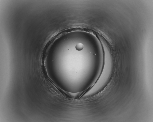 X0000116551261200912101406