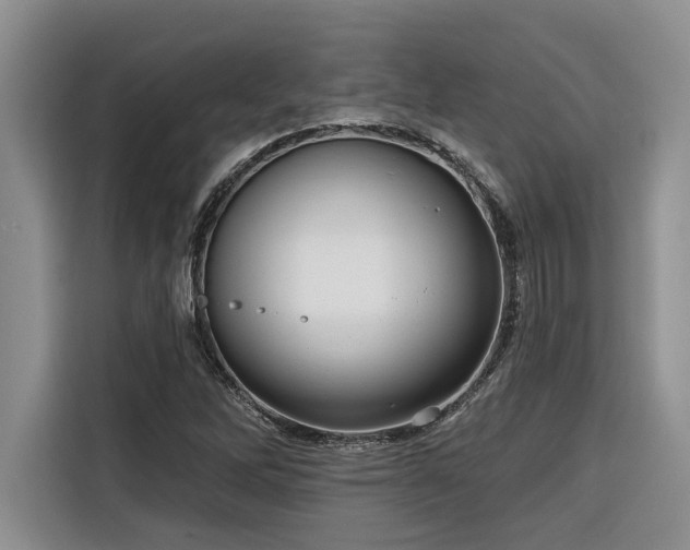 X0000116551262200912101406