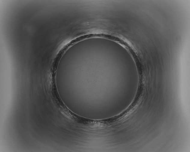 X0000116551263200912101406