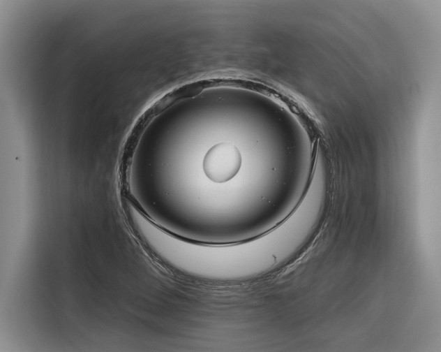 X0000116551264200912101406