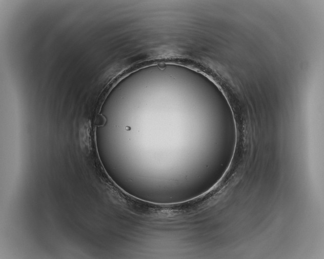X0000116551265200912101406