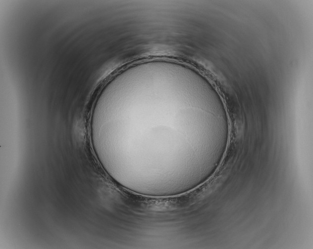 X0000116551266200912101406