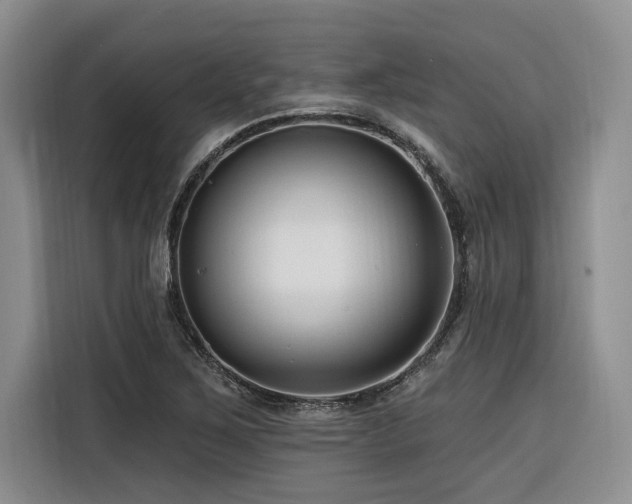 X0000116551267200912101406