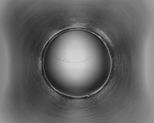 X0000116551268200912101406