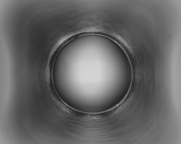 X0000116551270200912101406
