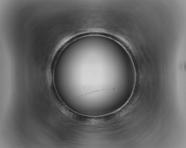 X0000116551271200912101406