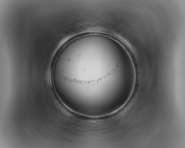 X0000116551272200912101406