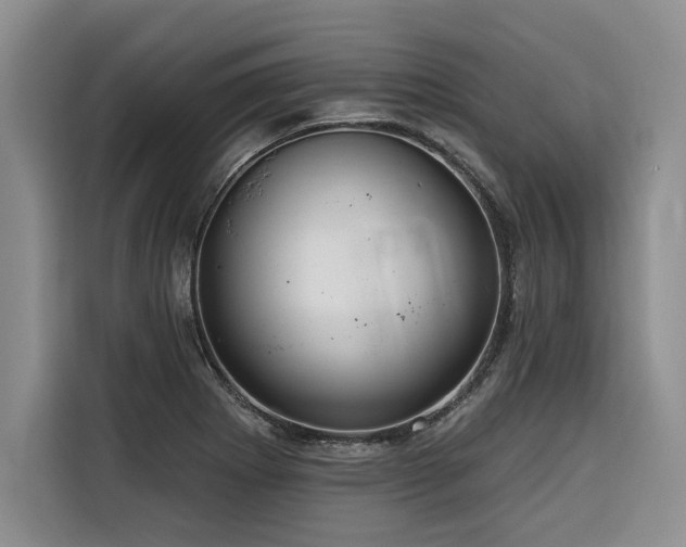 X0000116551273200912101405