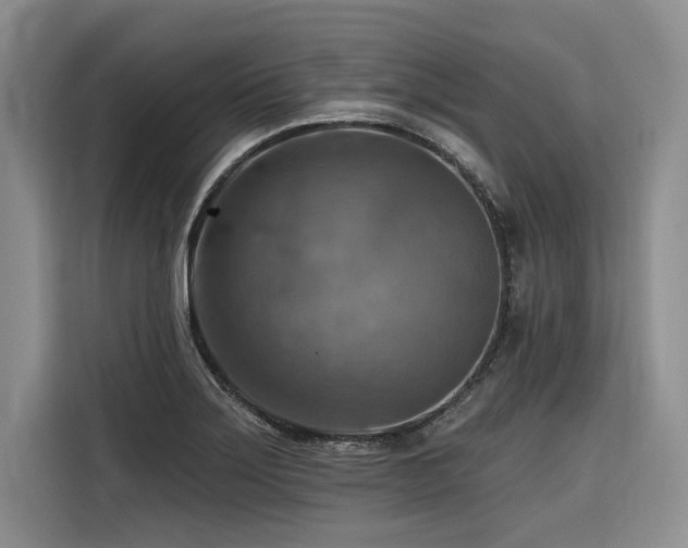 X0000116551275200912101405