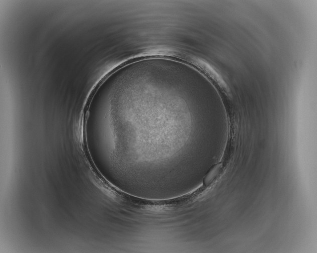 X0000116551276200912101405