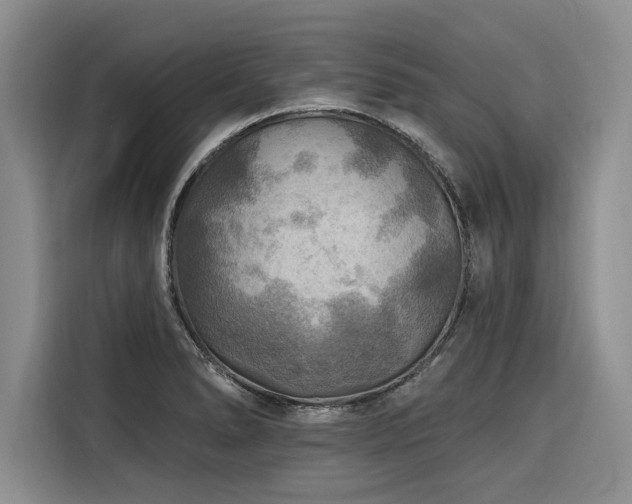 X0000116551278200912101405