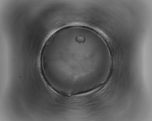 X0000116551279200912101405