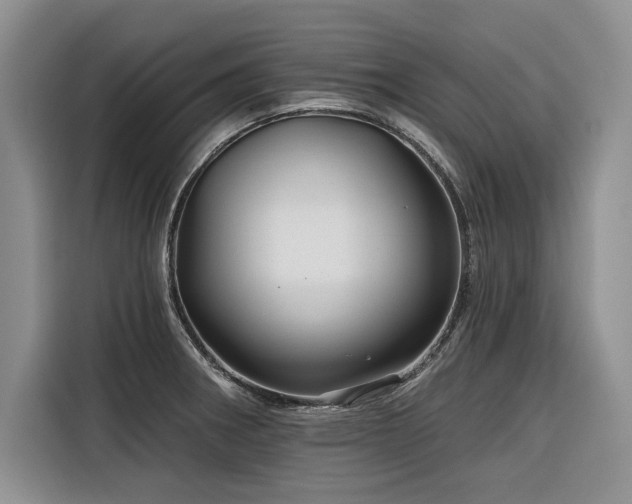 X0000116551282200912101405