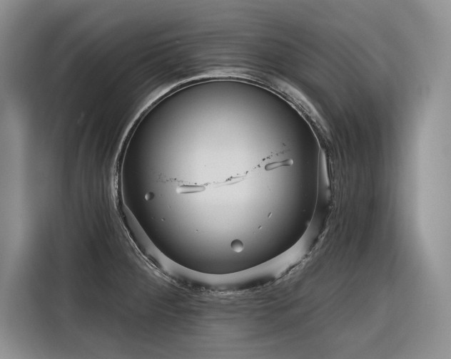 X0000116551284200912101405