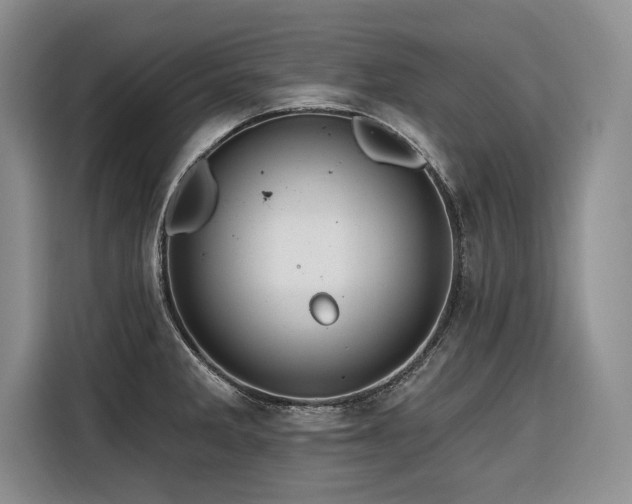 X0000116551285200912101405