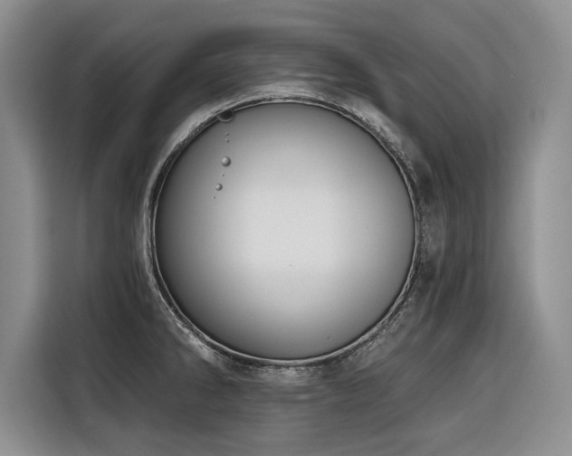 X0000116551286200912101405