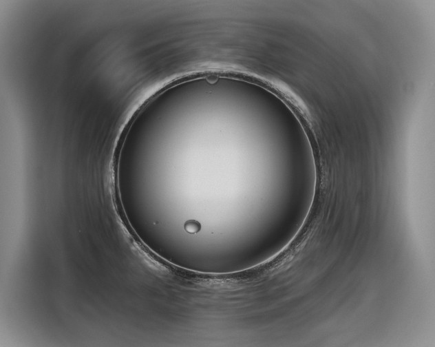 X0000116551287200912101405
