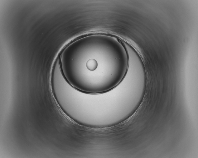 X0000116551288200912101405