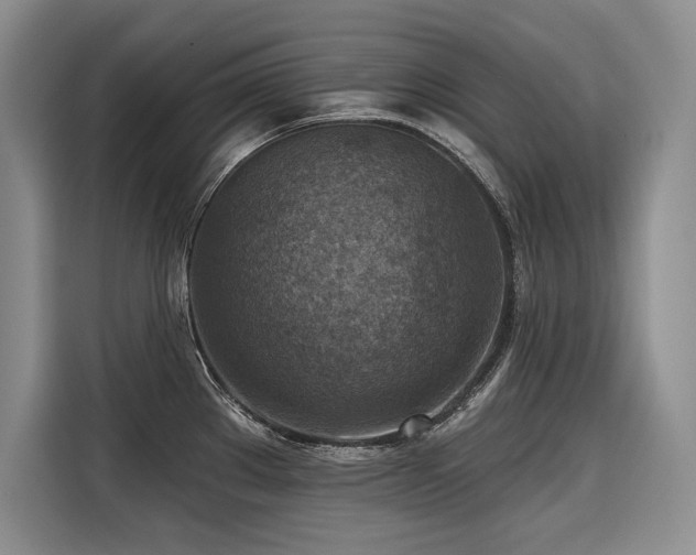X0000116551289200912101405