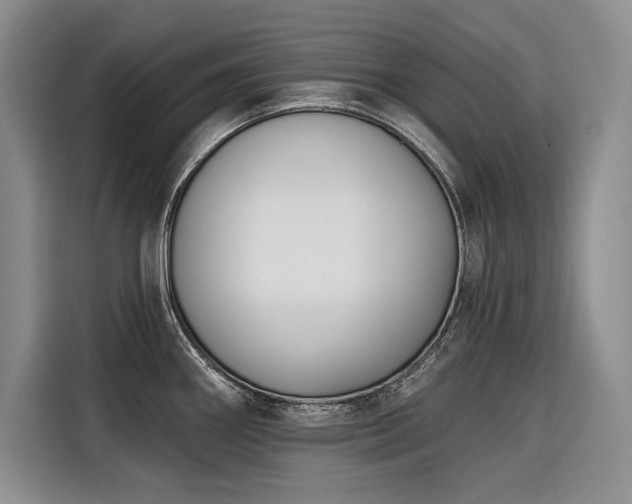 X0000116551290200912101405