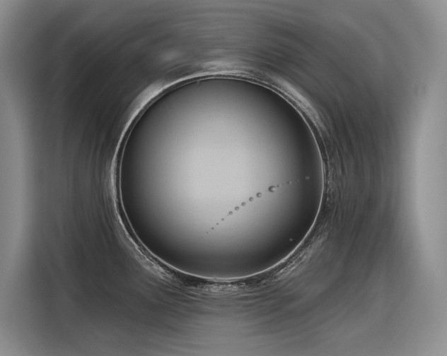 X0000116551291200912101405