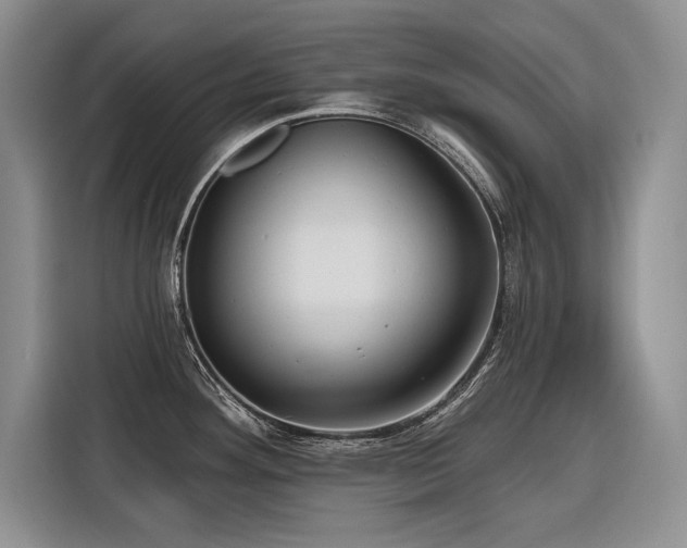 X0000116551292200912101405