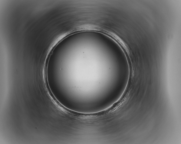 X0000116551293200912101405