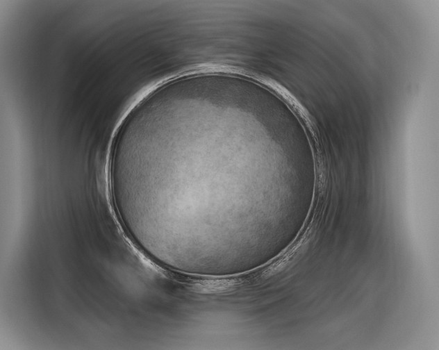 X0000116551294200912101405