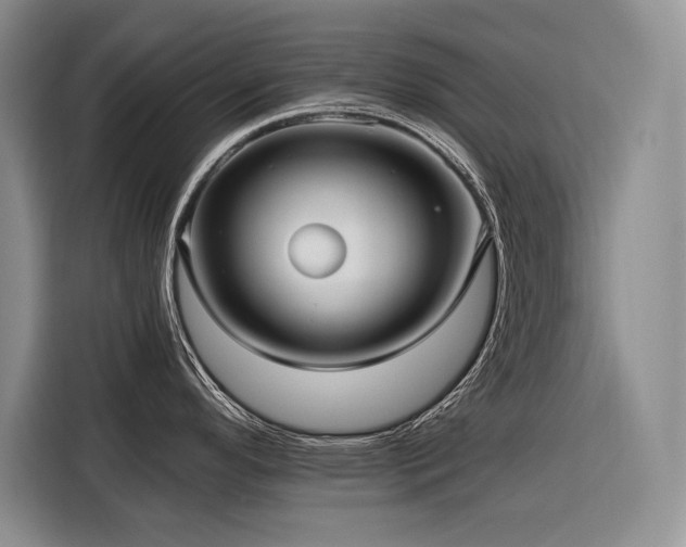 X0000116551296200912101405