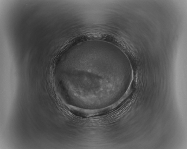 X0000116551297200912101404