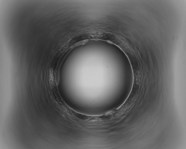 X0000116551298200912101405
