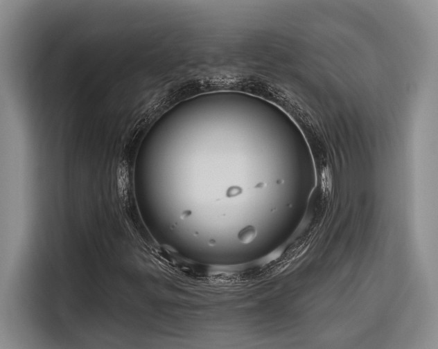 X0000116551299200912101405