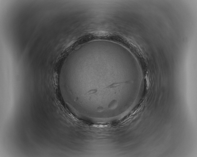 X0000116551301200912101405