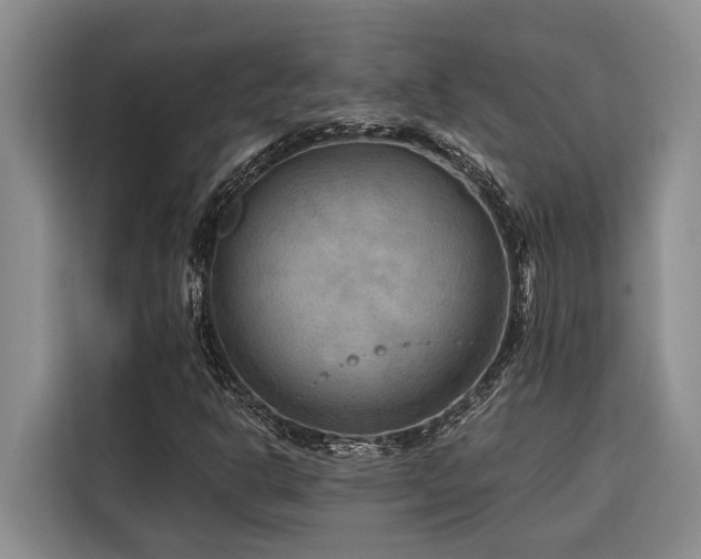 X0000116551302200912101405