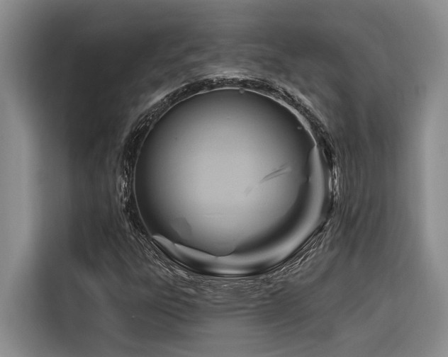 X0000116551303200912101405