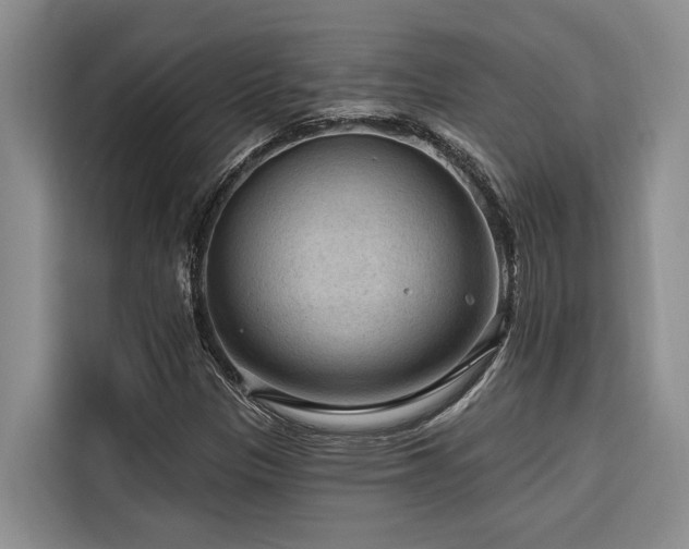 X0000116551305200912101405