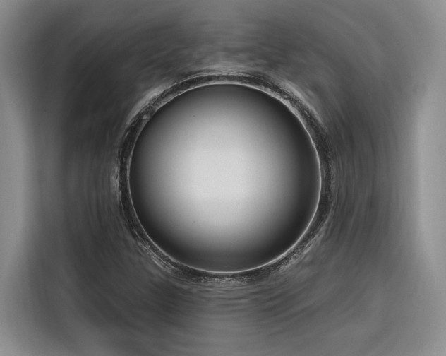 X0000116551307200912101405