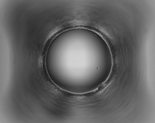 X0000116551309200912101405
