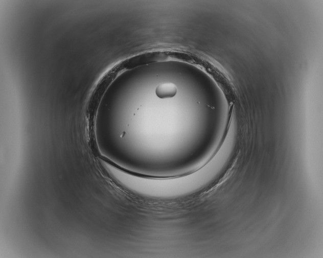 X0000116551310200912101405