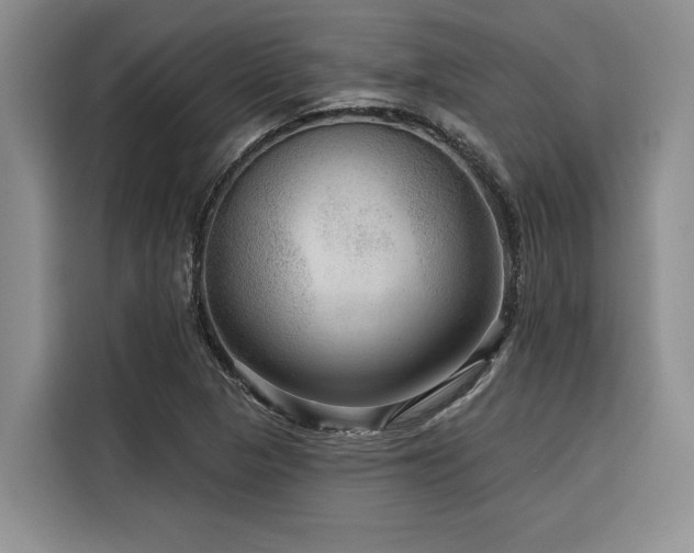 X0000116551313200912101405