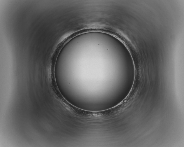 X0000116551315200912101405